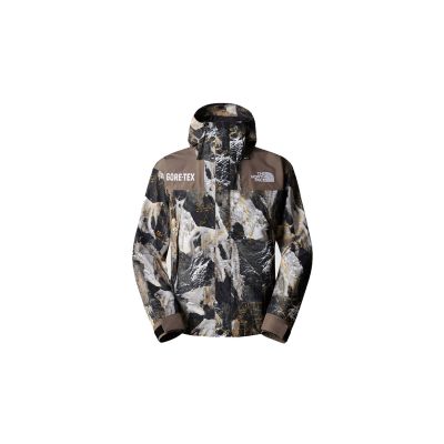 The North Face M Gore-Tex Mountain Jacket - Multicolor - Giacca